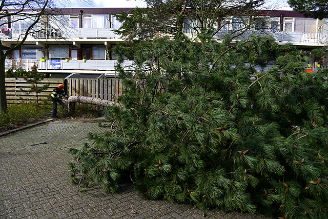 2014/39/GB 20140215a 006 Stormschade Meidoornweg.jpg